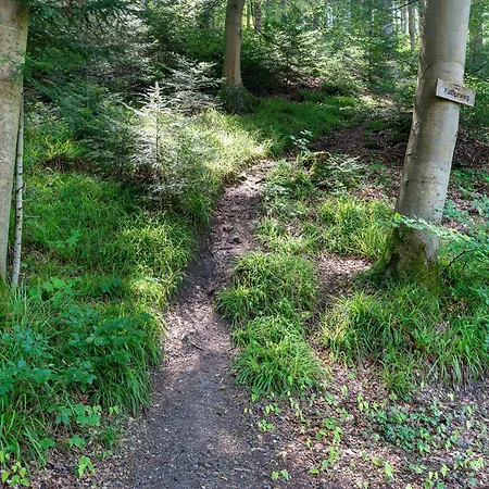 2 Am Hochwald Vakantiehuis